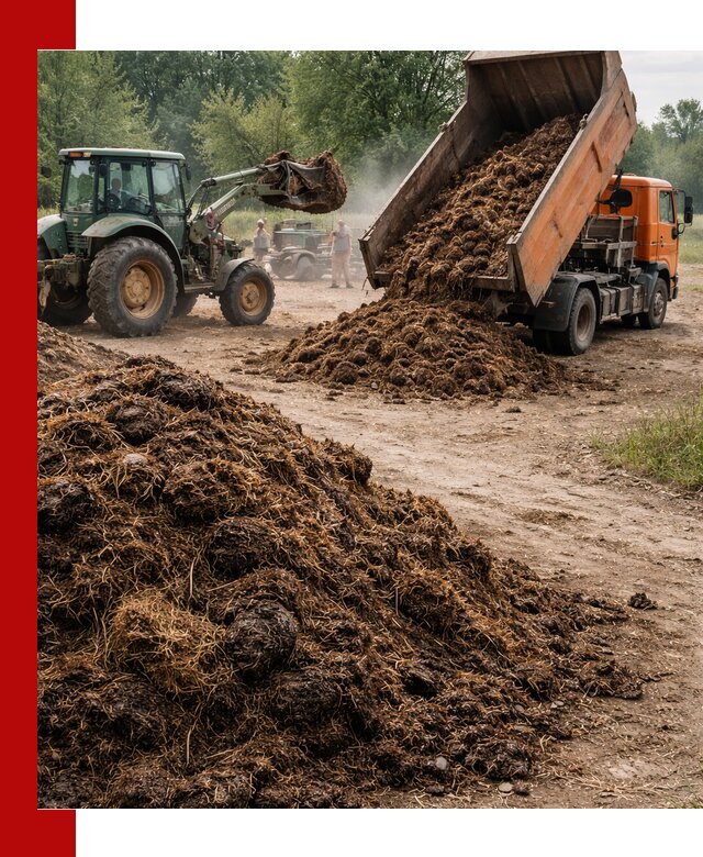 Доставка навоза самосвалами в Борзе для сельхозпотребностей